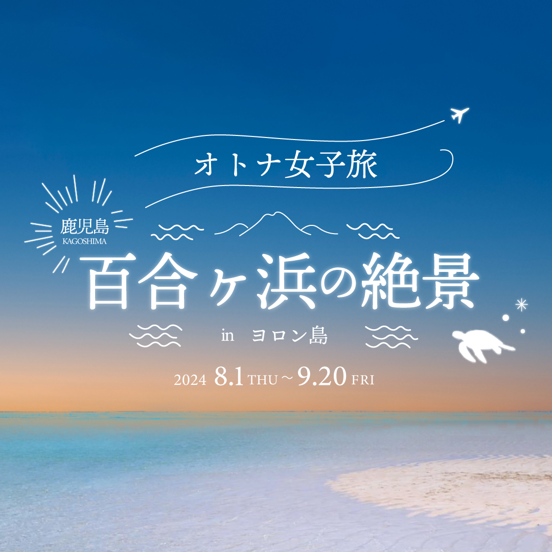 アパレルブランドの宣伝バナー